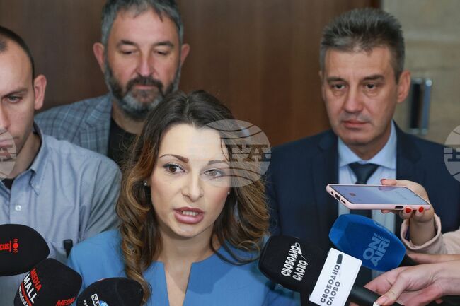 Парламент - ИТН - брифинг