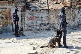 Варна - полицейска акция