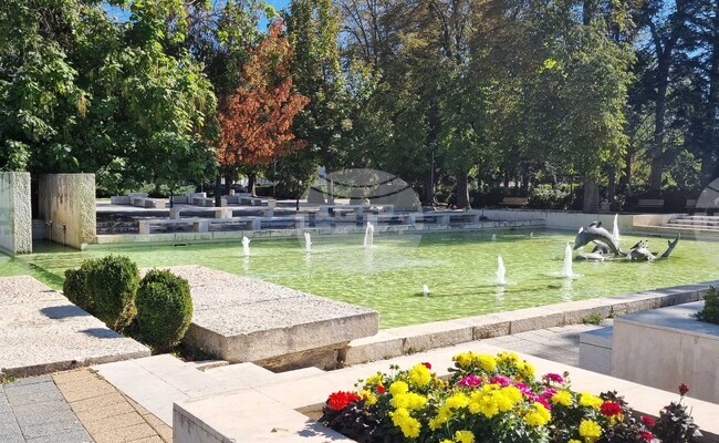 Търговище - есен - център