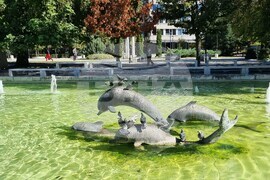 Търговище - есен - център