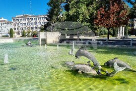 Търговище - есен - център