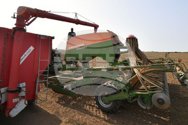 Исперих - есенна сеитба