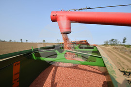 Исперих - есенна сеитба