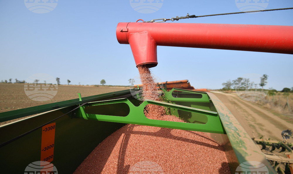 Исперих - есенна сеитба