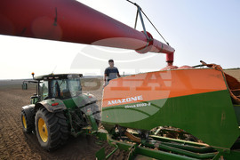 Исперих - есенна сеитба