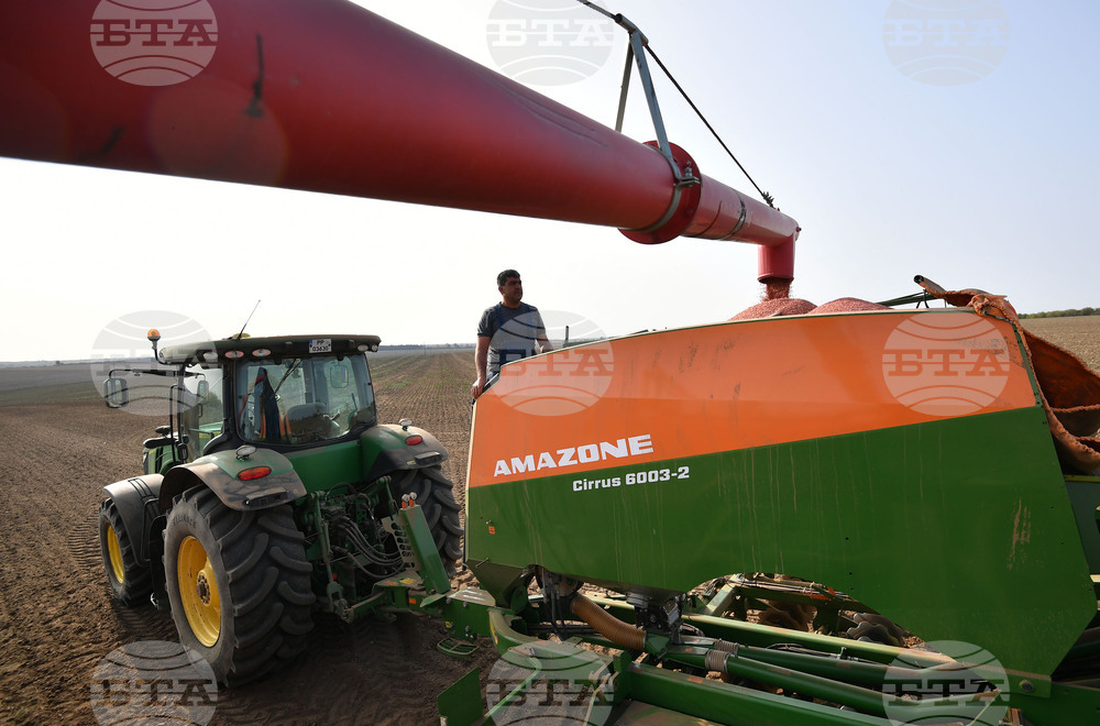 Исперих - есенна сеитба