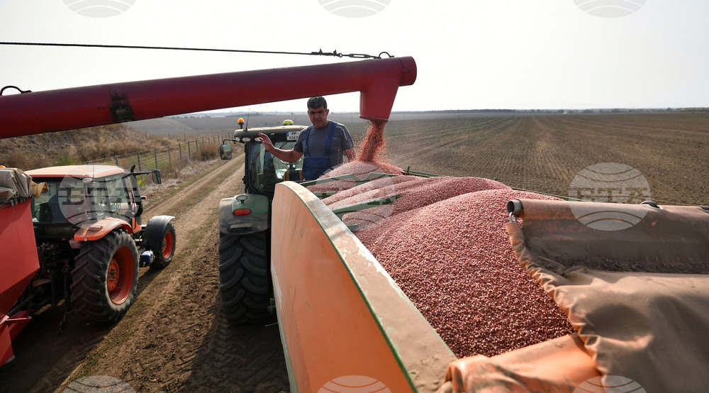 Исперих - есенна сеитба