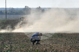Исперих - есенна сеитба