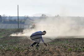 Исперих - есенна сеитба