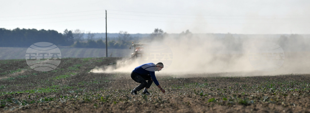 Исперих - есенна сеитба