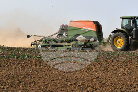 Исперих - есенна сеитба