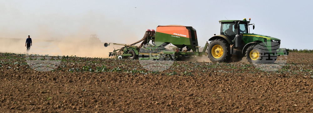 Исперих - есенна сеитба