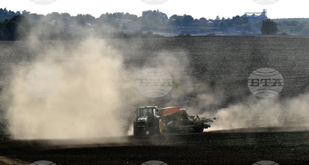 Сеитбата на есенните зърнени и маслодайни култури се движи с изпреварващи темпове спрямо 2023 г., по данни на ресорното министерство