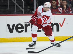 Red Wings Devils Hockey