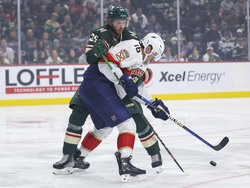 Panthers Wild Hockey
