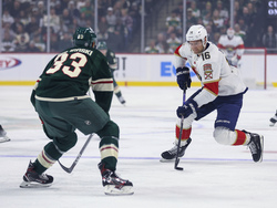 Panthers Wild Hockey