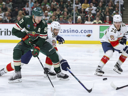 Panthers Wild Hockey