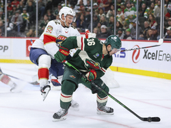 Panthers Wild Hockey