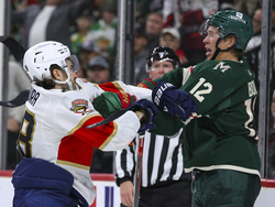 Panthers Wild Hockey