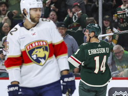 Panthers Wild Hockey