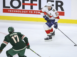 Panthers Wild Hockey