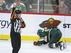Panthers Wild Hockey