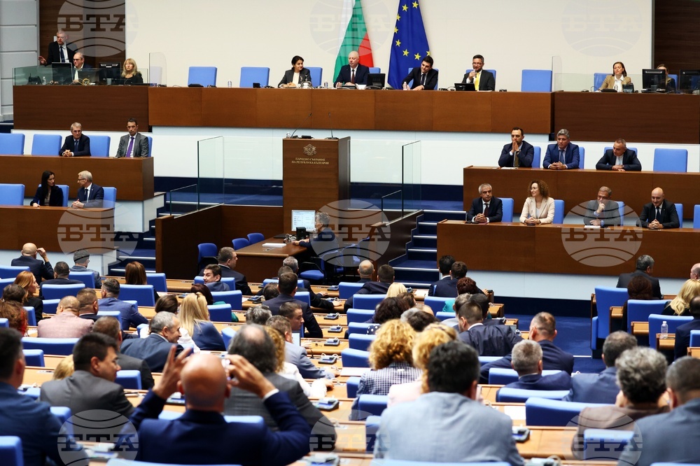 Parliament Adopts Declaration in Support of Israel