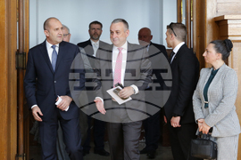 Чехия - Румен Радев - бизнес форум