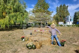 Самоков - парк „Крайискърец" - есенна украса