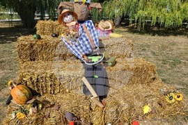 Самоков - парк „Крайискърец" - есенна украса