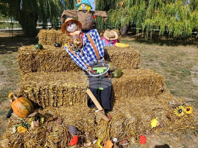 Самоков - парк „Крайискърец" - есенна украса