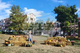 Самоков - парк „Крайискърец" - есенна украса