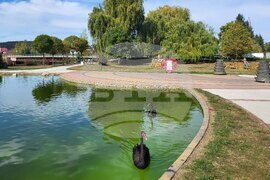 Самоков - парк „Крайискърец" - черни лебеди