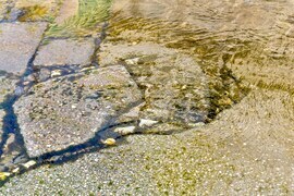 Село Кадиево - проверка - РИОСВ - РДНСК