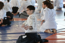 Българска Айкидо Федерация - семинар