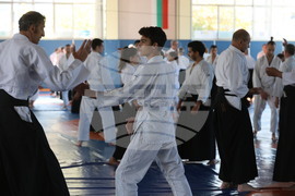 Българска Айкидо Федерация - семинар