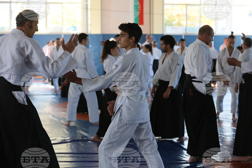 Българска Айкидо Федерация - семинар