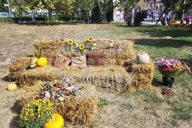 Самоков - парк „Крайискърец" - есенна украса