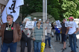 Видин - партия "Възраждане" - протест