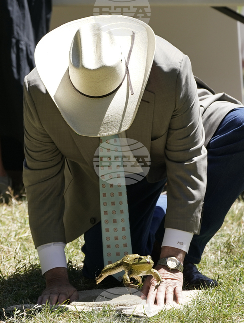 Учени разкриват еволюционния успех на жабите