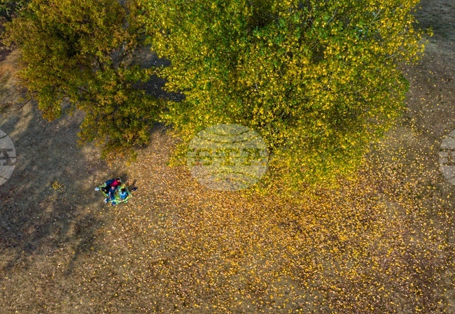 Прогноза за времето