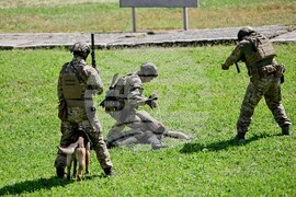 Село Црънча - учение - Троян Футпринт 22