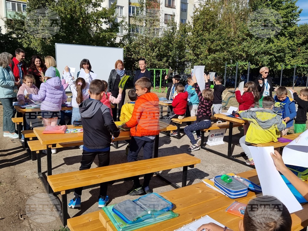 Училище - зелено пространство