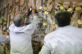 ВМА - Европейски ден на донорството