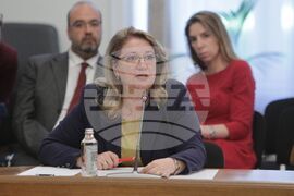 МС - Оперативна координационна група - Украйна - брифинг