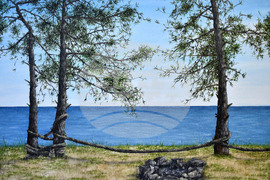 Варна - изложба