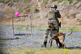 Село Црънча - учение - Троян Футпринт 22