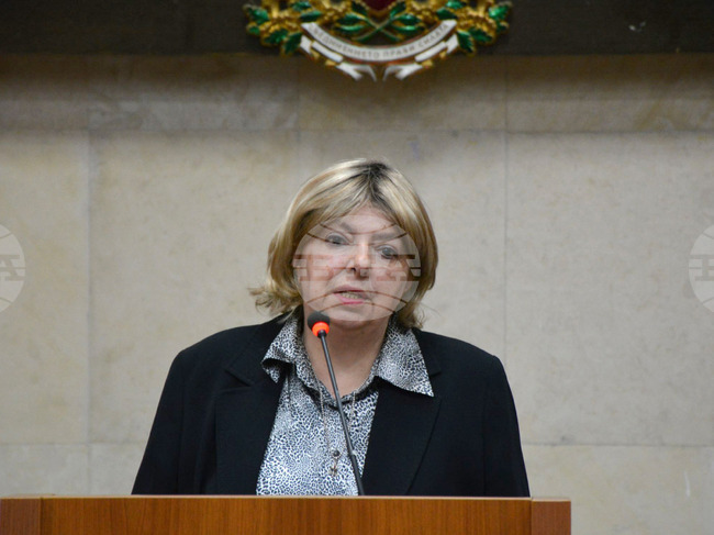 Благоевград - проф. Боряна Христова - лекция