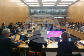 Франция - Деляна Иванова - Комитет по политиката за регионално развитие