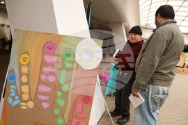 Световен ден за изкореняване на бедността